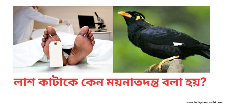 লাশ কাটাকে কেন ময়নাতদন্ত বলা হয়