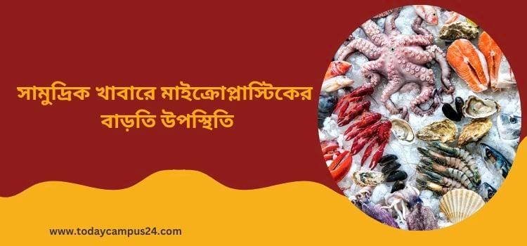 সামুদ্রিক খাবারে মাইক্রোপ্লাস্টিকের বাড়তি উপস্থিতি