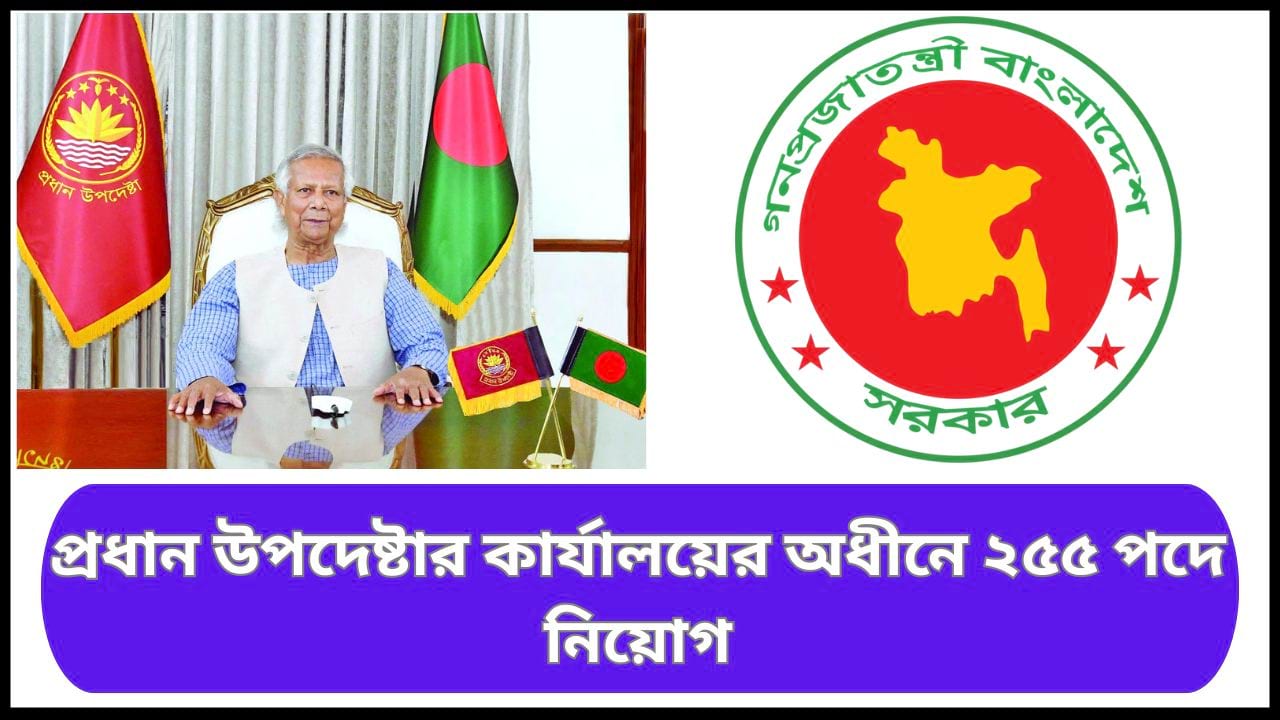 প্রধান উপদেষ্টার কার্যালয়ের অধীনে ২৫৫ পদে নিয়োগ